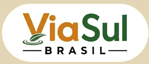 ViaSul BRASIL